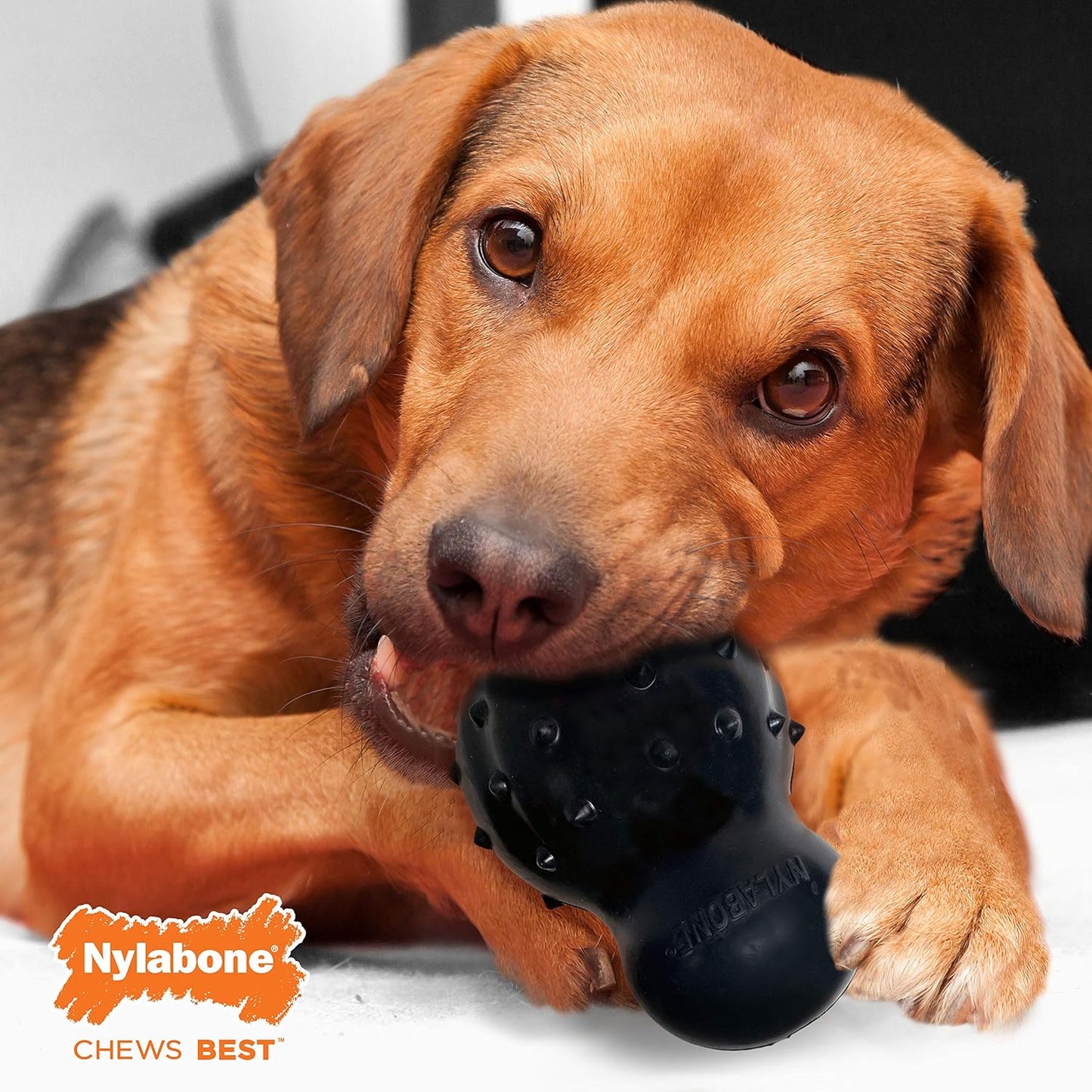 Nylabone Juguete masticable para perros Strong MAX Cone - Sabor a carne
