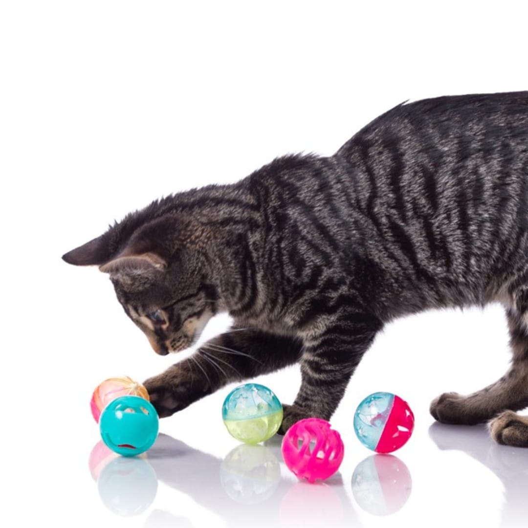 Hartz Juguete para gatos Bizzy Balls