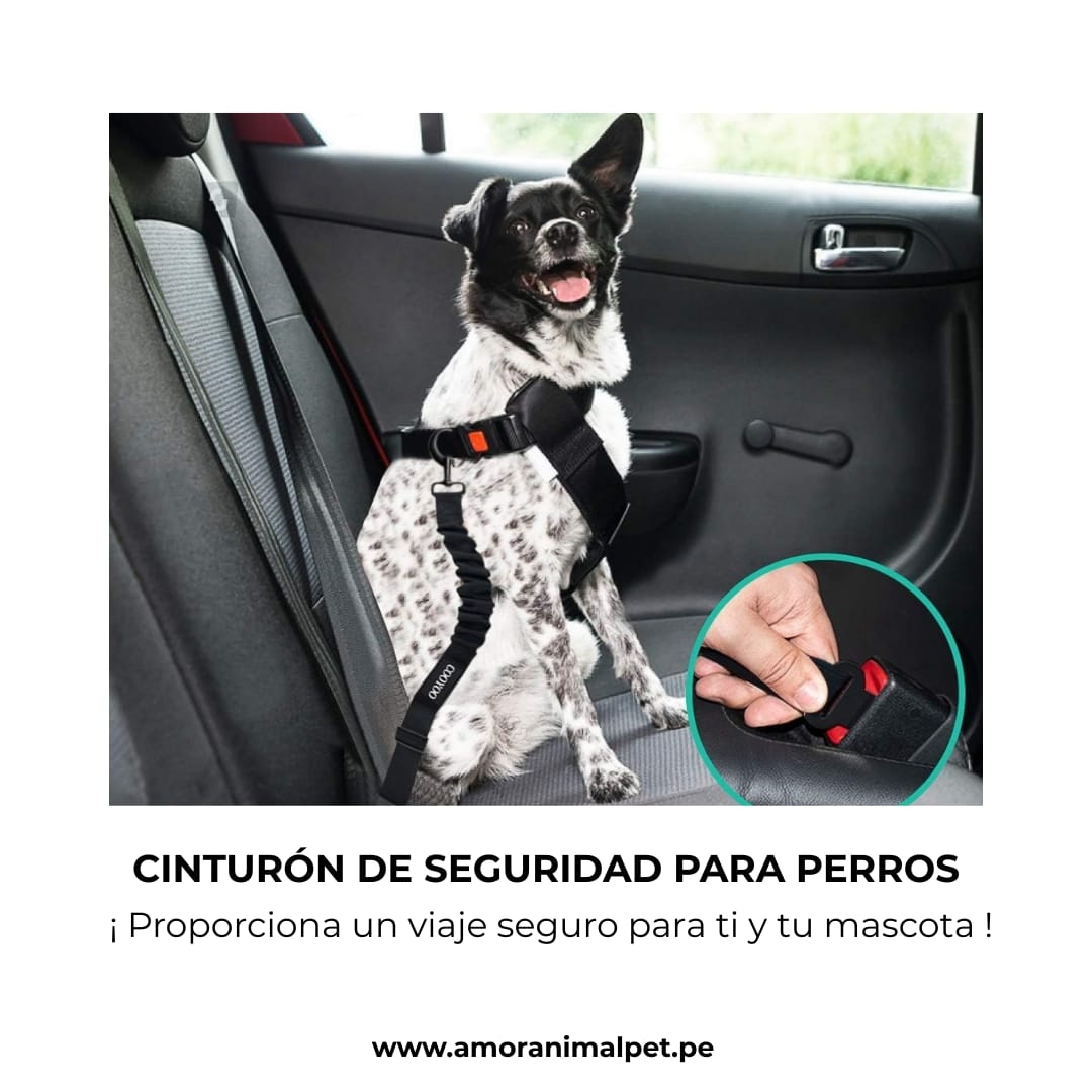 Cinturón de seguridad para mascotas - Para auto