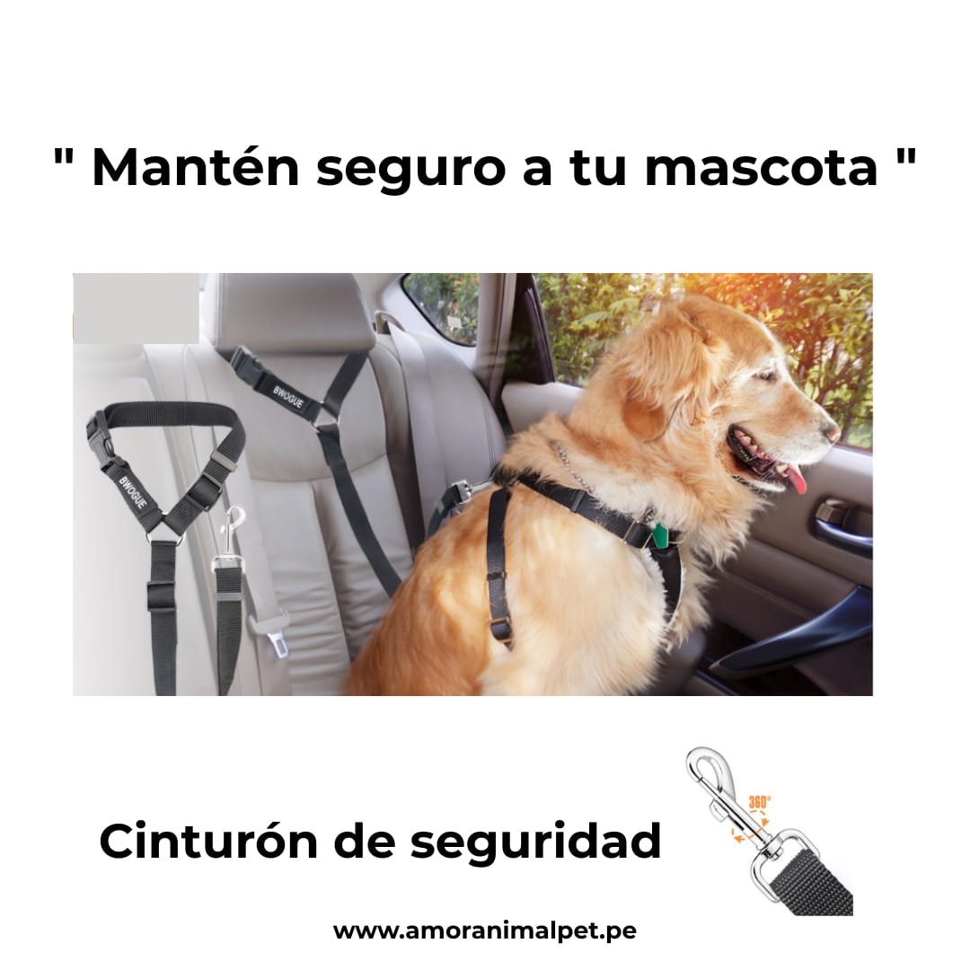 Cinturón de seguridad para mascotas - Para auto