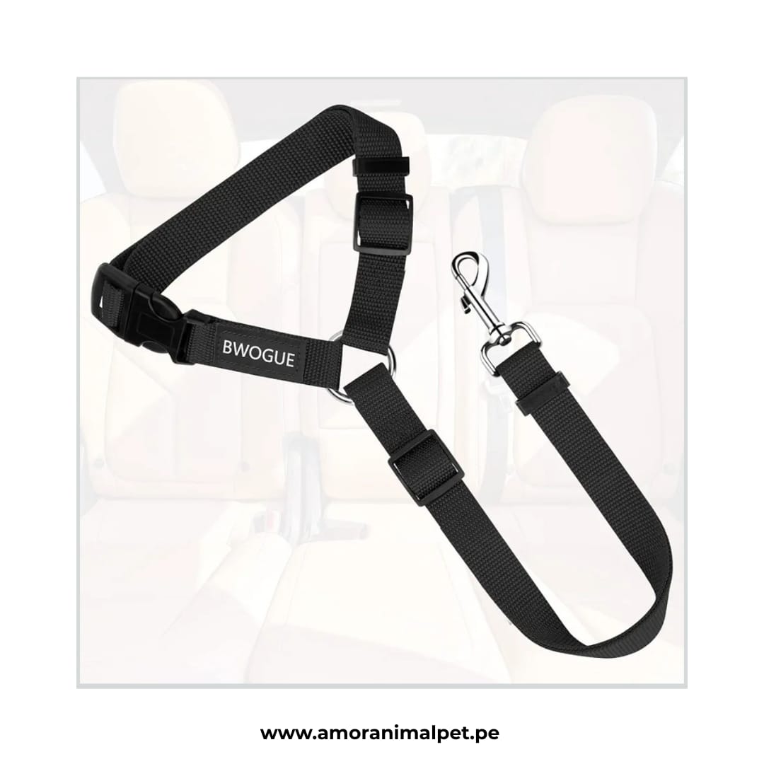 Cinturón de seguridad para mascotas - Para auto