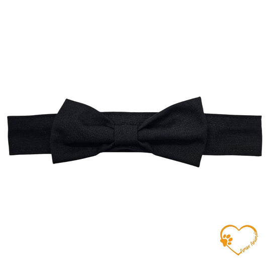 Michi para mascotas - Amor Animal