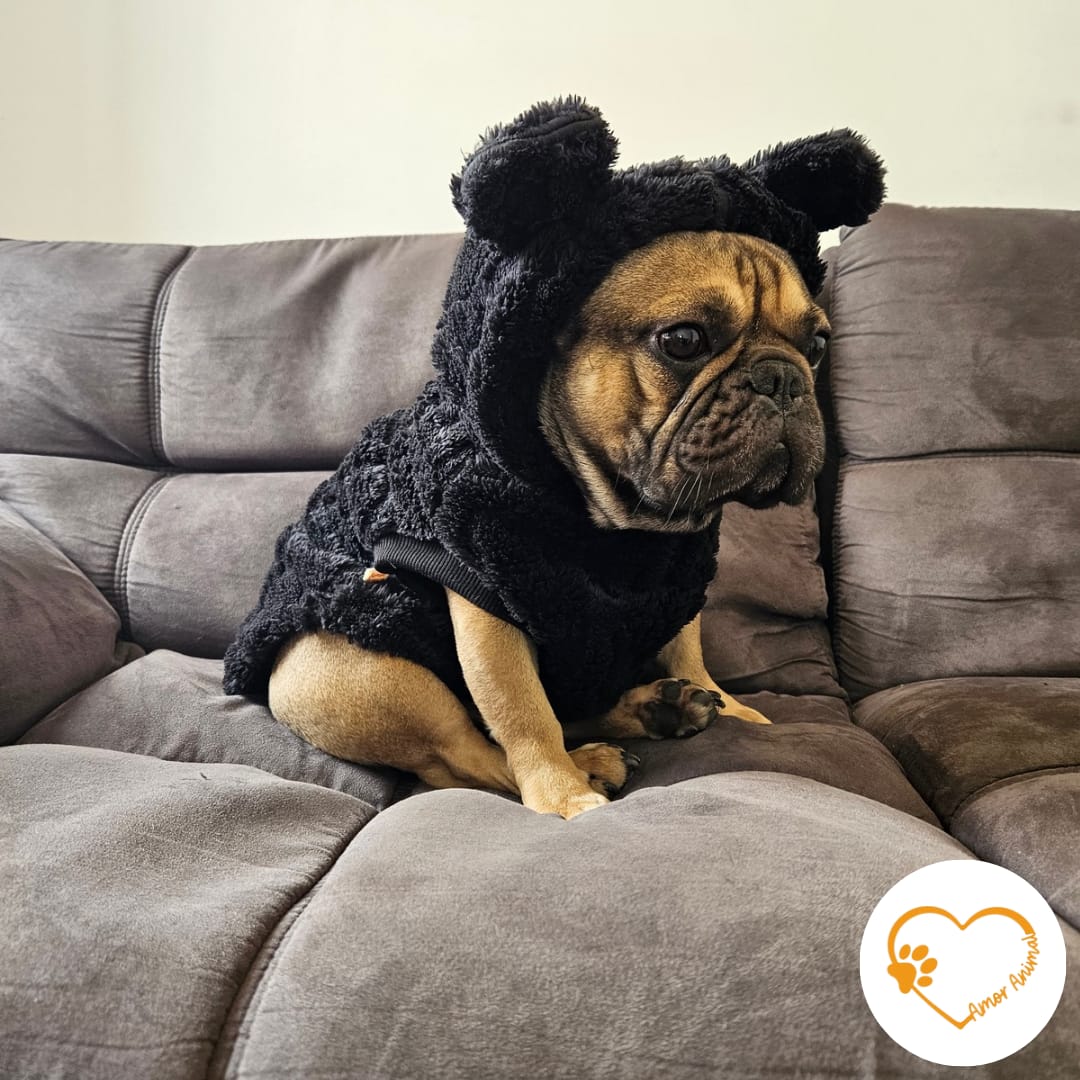 Polera forrada con capucha para perros - Amor Animal