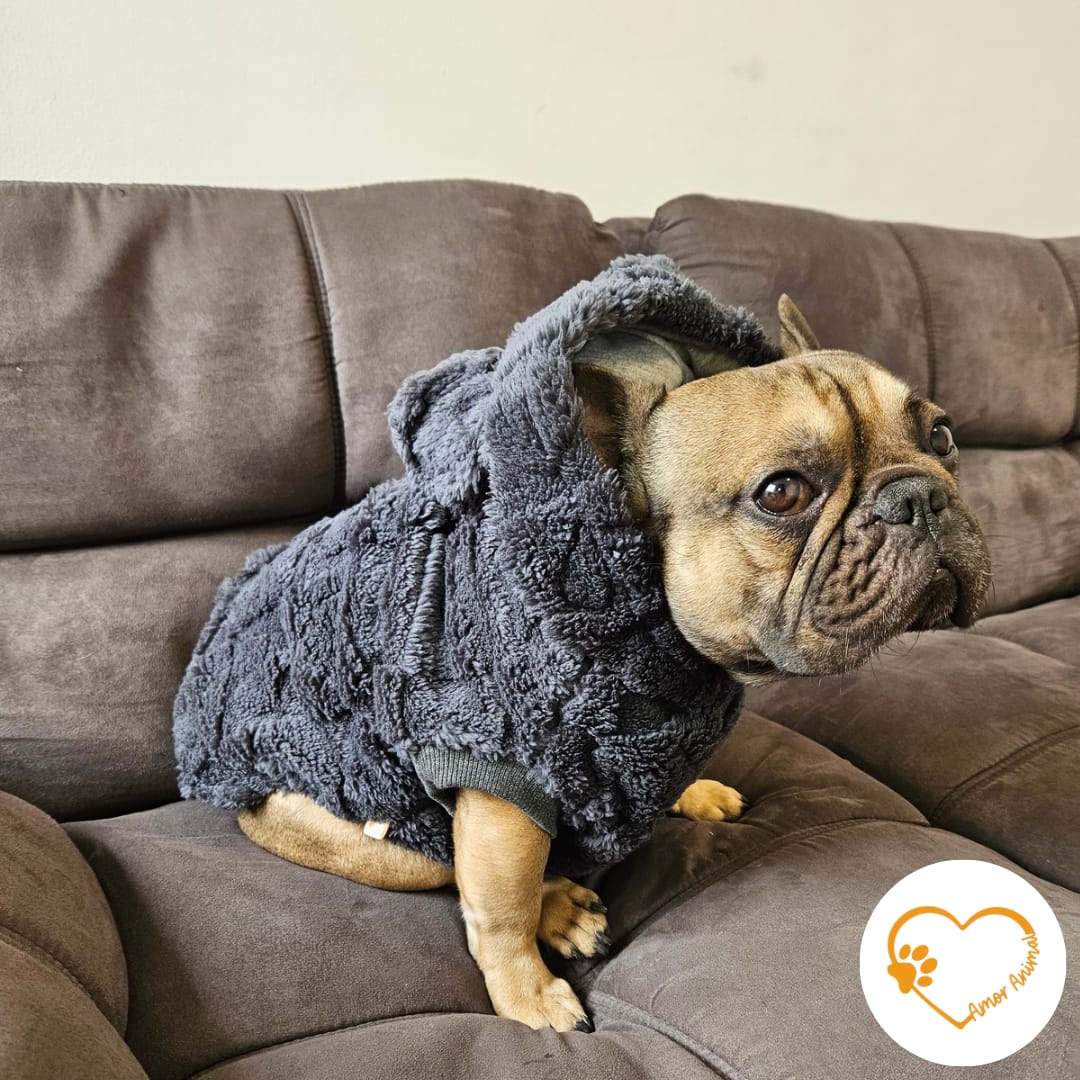 Polera forrada con capucha para perros - Amor Animal