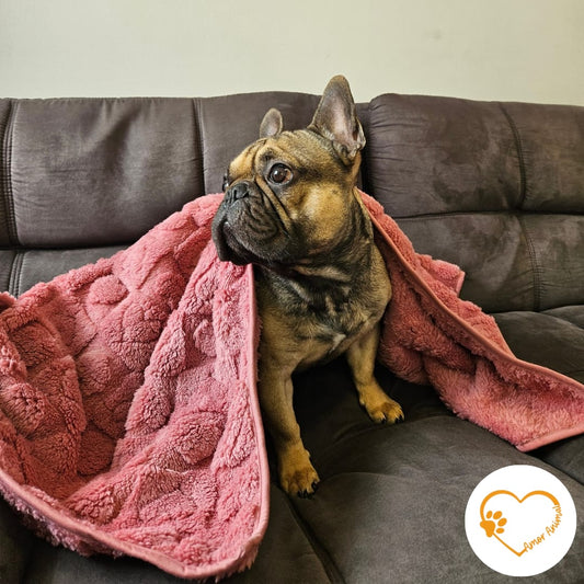 Colcha de peluche para perros - Amor Animal