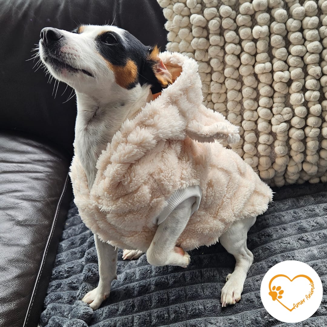 Polera forrada con capucha para perros - Amor Animal