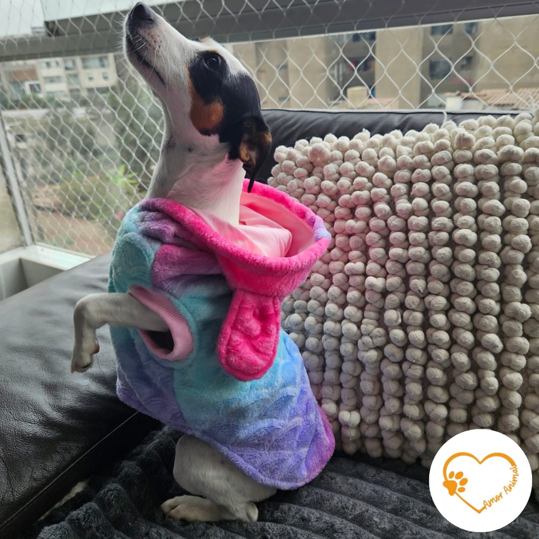 Polera forrada con capucha para perros - Amor Animal