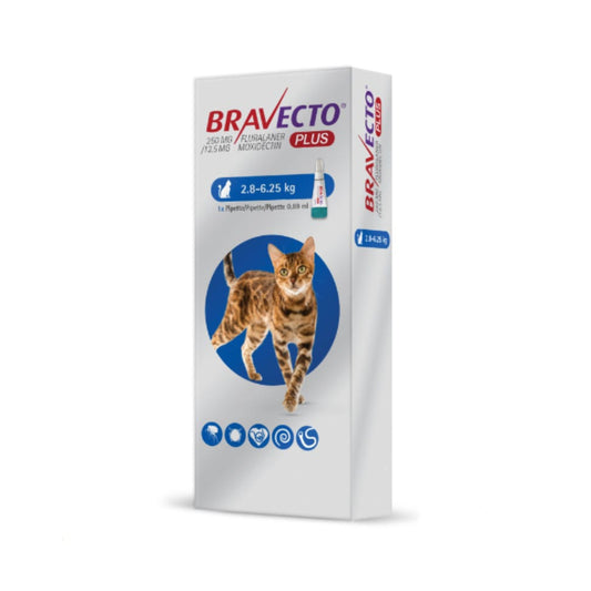 Solución tópica para gatos medianos de 2.8 kg a 6.25 kg.