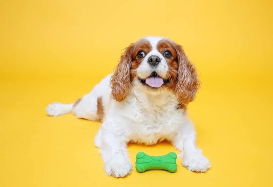 Hartz Duraplay Bone - Hueso duraplay para perros