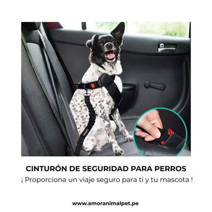 Cinturón de seguridad para mascotas - Para auto