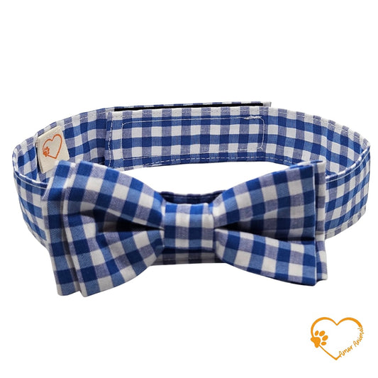 Michi para perros - Amor Animal