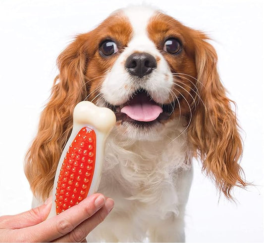 Chew 'n Clean Bone Toy /  Small - Hueso de nylon sabor a tocino