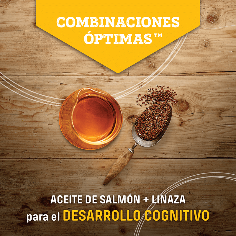 S5 Nutram Adult & Senior Cat 5.4 kg - Gato adulto & senior