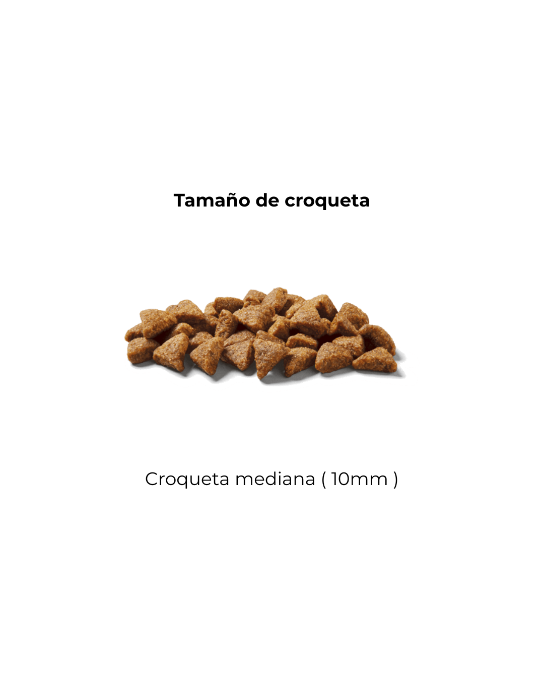 S5 Nutram Adult & Senior Cat 5.4 kg - Gato adulto & senior