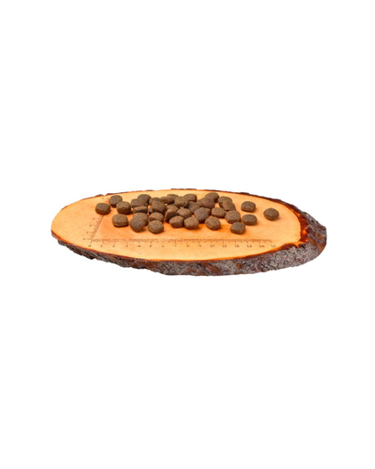 Carnilove GF Lamb & Wild Boar Adult Dogs 12 kg -  Adultos Cordero y Jabalí